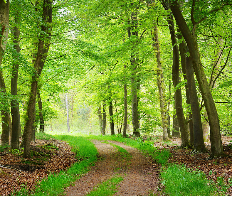 美國牛卡紙1_02_02